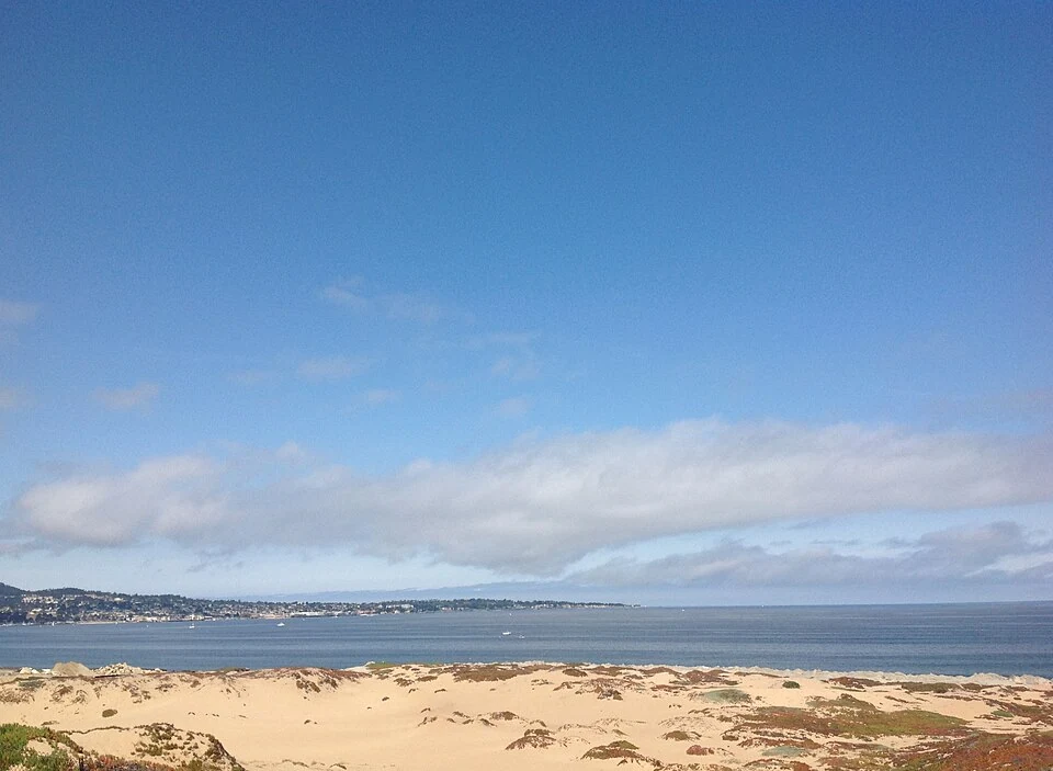 Beach dunes and the Monterey Bay coast at Sand City